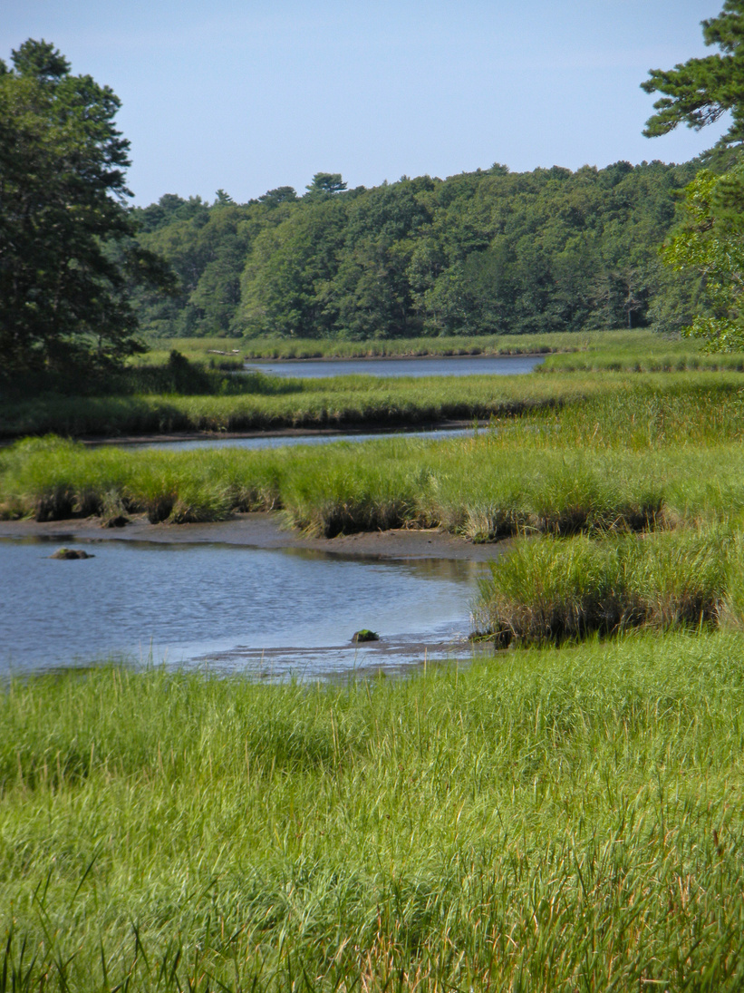 Mashpee River